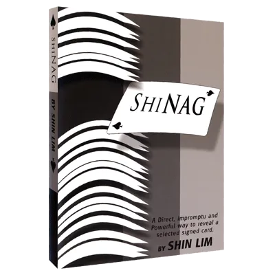 Shinag by Shin Lim video DOWNLOAD