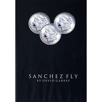 Sanchez Fly by David Gabbay - video DOWNLOAD