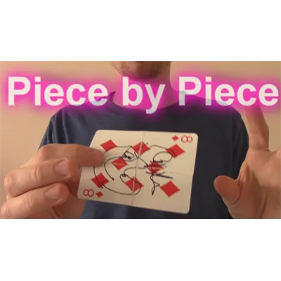 Piece by Piece by Aaron Plener - Video DOWNLOAD
