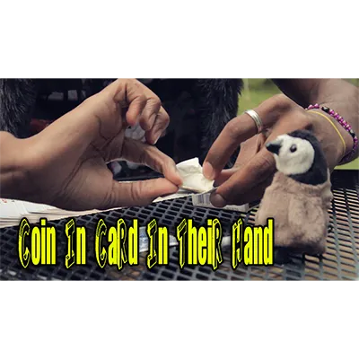 Coin In card by Jibrizy - Video DOWNLOAD