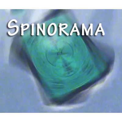 Spinorama by William Lee video DOWNLOAD