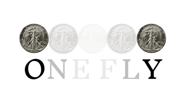 OneFly by Pieter Hofstra video DOWNLOAD